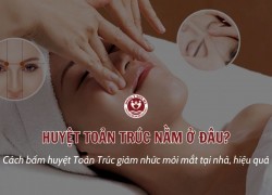 Huyệt Toản Trúc nằm ở đâu? Cách bấm huyệt Toản Trúc giảm nhức mỏi mắt